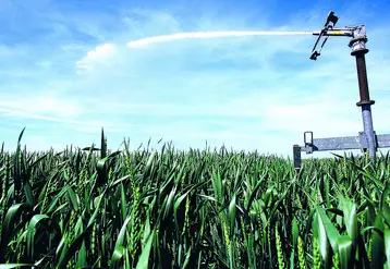 Entre hausse des prix de l'énergie et baisse des cours des céréales, l'irrigation devrait peser plus lourd cette année dans les charges de production. 