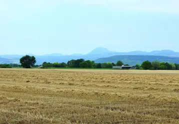 Les moissons ont débuté et offrent pour l'instant des rendements satisfaisant en orges et blé tandis que ceux du colza traduisent le manque d'eau hivernal. 