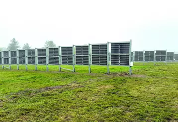 Haies solaires