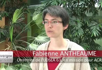 Fabienne ANTHEAUME