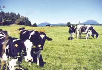 Les producteurs veulent bénéficier de l'image "montagne" pour leur production.