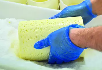 Transformation fromagère
