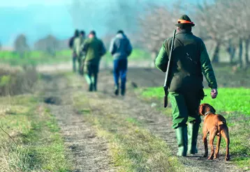 Groupe de chasseurs