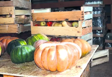 Caisses de légumes