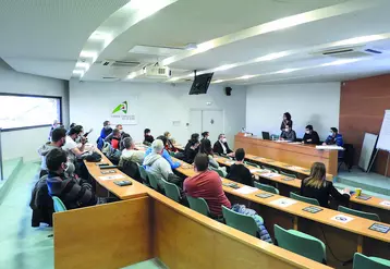 Le 17 février, une trentaine d'agriculteurs a répondu présent à l'invitation de la Chambre d'agriculture autour d'une réunion d'information sur la mise en place d’une filière légumes dans le Puy-de-Dôme. 