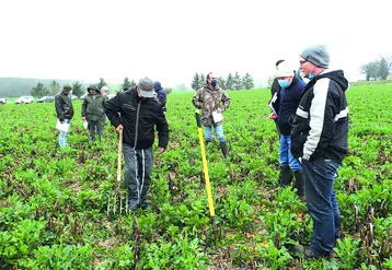 Le deuxième Vendredi de l'Agro de la Chambre d'agriculture avait pour thème la culture du colza associé sous couvert de légumineuses. 