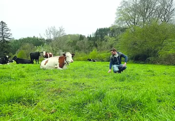 Alexandre Fonlupt a ouvert la pâture à sa quarantaine d'animaux le 25 mars dernier et espère les premières récoltes de l'herbe au plus tard le 10 mai. 