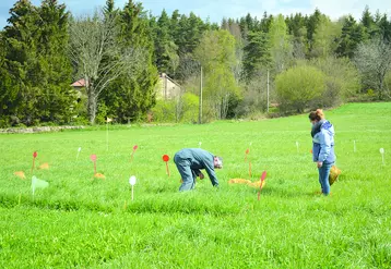 Les conseillers des Chambre d'agriculture du Puy-de-Dôme, de la Haute-Loire et de la Loire ainsi que l'EDE 63 ont réalisé les premières analyses des différentes expérimentations. 