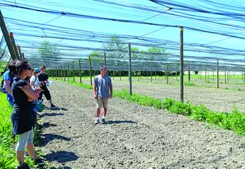 Le 31 mai dernier, Nathanaël Jacquart a accueilli sur son exploitation maraîchère plusieurs producteurs intéressés par la production de légumes en plein champ. 