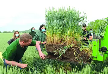 Un mini-profil de sol a été réalisé dans une parcelle de blé près de Montpensier, à l'occasion des Vendredis de l'Agro. 