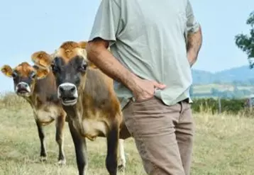 Patrick Ganne ne regrette pas d’avoir adopté la Jersiaise. Plus rustique, elle lui demande moins de temps de travail et produit un lait de meilleure qualité.