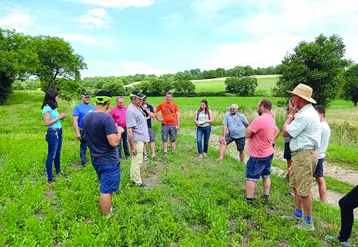 Autour de Jean-Michel Cellier-Courtil, les agriculteurs bio membres de quatre GIEE ont été invités à découvrir la diversité culturale de son exploitation. 