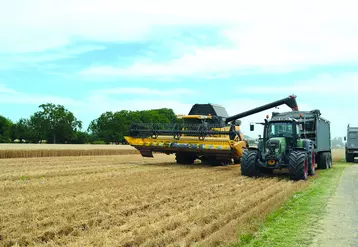 Quelques parcelles d'orge et de blé ont été moissonnées dimanche dernier avant d'être stoppées par le retour de la pluie. 
