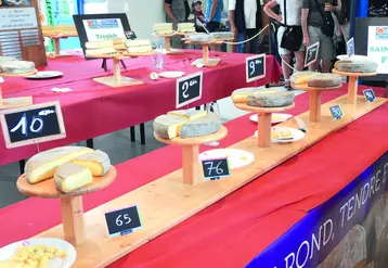 Concours Saint-Nectaire en août 2019 à Orcival.