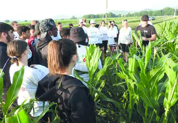 Avant le démarrage de la castration, Laurent et Pascale Favy donnent conseils et explications aux 46 jeunes présents pour ce premier jour de chantier à Beauregard l'Evêque.