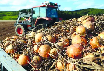 Les missions saisonnières ont évolué dans le Puy-de-Dôme, avec davantage de chantiers tels que les oignons.