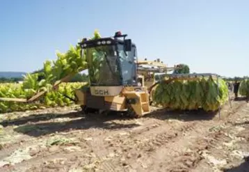 La machine coupe les plants de tabac au pied et les suspend à des cadres métalliques pour le séchage. Le besoin de bras est quasi inexistant (2 à 3 personnes) et les coûts sont divisés par deux.