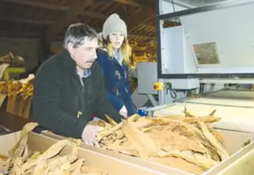 Le tabac récolté cet automne est en cours d’emballage pour être vendu à l’usine de Sarlat.