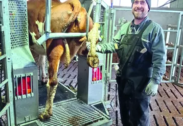 Frédéric Raoul, pareur et pédicure bovin prend soin des pieds des vaches que ce soit en préventif ou curatif.