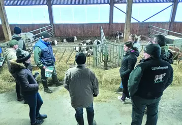 Dans la nurserie du GAEC de La Bergeronnette à Olliergues, les futures génisses démarrent dans les meilleures conditions. 