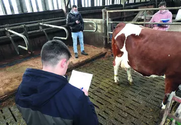 Les élèves des lycées agricoles du département ont participé à la finale départementale du concours de jugement des bovins le 7 décembre dernier. 