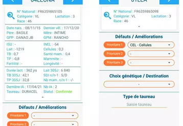 L’application smartphone facilite le travail de pointage, phase clé du plan de sélection.