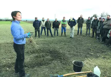 Les agriculteurs retenus pour le Plan de Relance haies ont récupéré, le 3 février dernier, une première partie de leurs plants. 