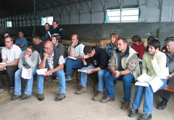 Les groupes de progrès “L’agneau pour réussir” initiés cet automne par la FDO en lien avec la Chambre d’agriculture vont donner lieu à un important programme de formation.