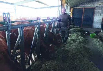 Au Gaec des Volcans à Aurières, Yoan Bony commercialise sa production en vente directe. 