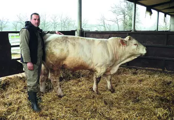 Romain Chauffour a renouvelé l'expérience des portes ouvertes du GIE Charolais Leader pour vendre plusieurs de ses animaux racés.