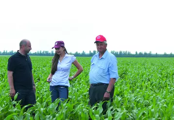 En 2013 Limagrain organisait un déplacement en Ukraine avec ses adhérents afin de rencontrer les producteurs locaux de maïs et de tournesol. 