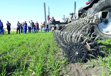 Le 24 mars dernier, la Chambre d'agriculture du Puy-de-Dôme et Bio 63 organisaient une après-midi autour du désherbage mécanique.