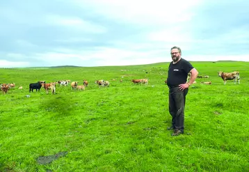 En l'espace de 24 heures, deux vaches de Patrick Boyer ont été dépecées par les vautours dont une où la mort de l'animal n'est pas certaine avant l'intervention des charognards.