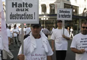 Il y avait longtemps que Pau n'avait pas vu un tel défilé d'agriculteurs dans ses rues. 2000 maïsculteurs venus d'Aquitaine, de Midi-Pyrénées, d'Anjou, d'Auvergne, d'Alsace et même d'Espagne, ont scandé leur ras-le-bol d'être lâchés, chaque été, à la vindicte médiatique.