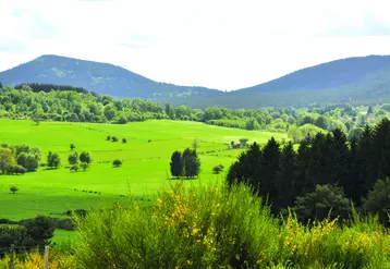 La marque Auvergne vient de lancer une enquête de notoriété auprès des habitants de l’Allier, du Cantal, de la Haute-Loire et du Puy-de-Dôme. 