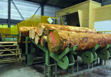 La production de bois est entrée à son tour dans la spirale des marchés mondiaux et de la spéculation mais sa nature indolente complexifie l'adaptation des différents acteurs. 