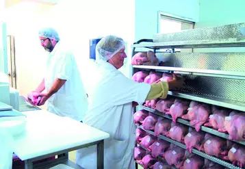 Association d’Abattage des Volailles Fermières d’Auvergne poursuit son développement