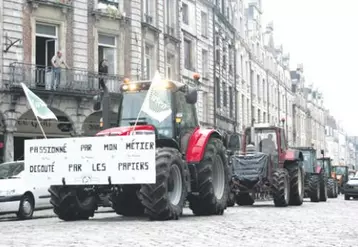 À l’appel de la FDSEA et des Jeunes agriculteurs du Pas-de-Calais, 400 exploitants en tracteurs ont défilé en cortège dans les rues d’Arras, de Boulogne, de Calais, de Saint-Omer et de Montreuil. 
Sur les cinq lieux, les différentes délégations ont été reçues par les services préfectoraux.