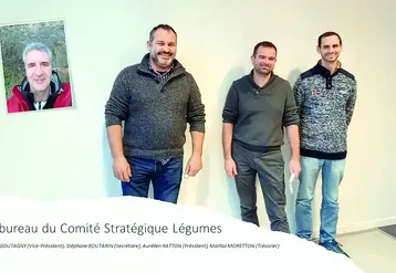 Bureau du Comité Stratégique Légumes