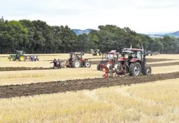 Le concours de labour est une institution avec ses propres règles ; c’est aussi une grande fête mettant l’agriculture à l’honneur.