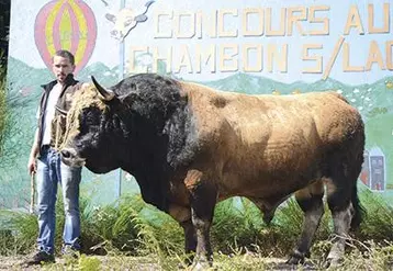 Loïc Lacroix au côté d’Invaincu, son champion né et élevé à la ferme dont la carrure de 1,15 tonne cache un caractère de peluche.