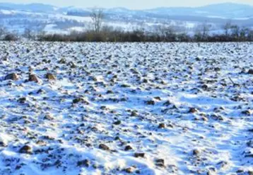 La vague de froid s’est installée sur le Puy-de-Dôme, comme sur l’ensemble de la France, jusqu’au début de la semaine prochaine.