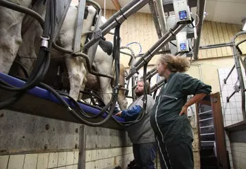 Le secteur de l'emploi en agriculture ne connaît pas la crise, le Service de Remplacement recherche pas moins de 5 salariés ETP pour seulement deux zones de production.