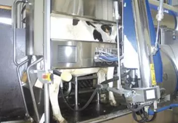 Le robot de traite peut être un vecteur de qualité de vie pour les éleveurs.