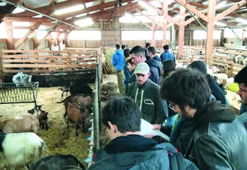 Au Gaec La Ferme des Sonnailles.