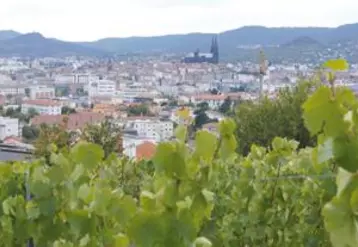 Les professionnels de la viticulture du Puy-de-Dôme travaillent main dans la main à l’organisation du premier salon international des vins volcaniques.