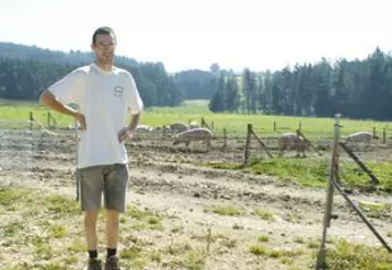 Fort d'une expérience en engraissement, acquise sur l'exploitation familiale, Ludovic Pitavy élève en plein air des porcs qui seront labellisés «Porcs Fermiers d'Auvergne.»