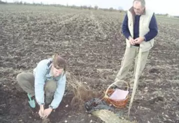 Démonstration de plantation.