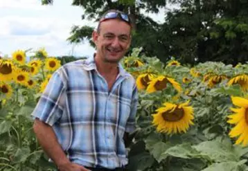 Des ruches au milieu des tournesols, un partenariat gagnant-gagnant pour Stéphane Chevarier.