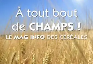 A tout bout de champs ! Le mag info des céréales